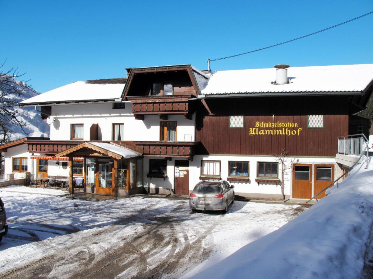 Apartment Klammlhof-4 By Interhome Zell am Ziller Exterior photo